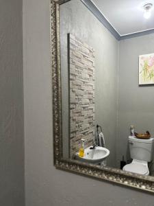 espejo en el baño con aseo y lavabo en Jobe Guesthouse, en Pietermaritzburg