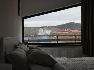 a bedroom with a bed and a large window at Pensiunea Valentina in Niculiţel