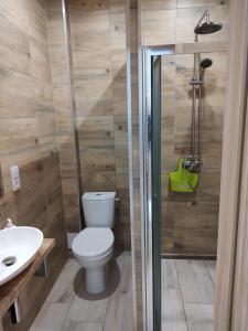 een badkamer met een toilet, een wastafel en een douche bij Apartamenty & Pokoje pod Gruszą in Kudowa-Zdrój