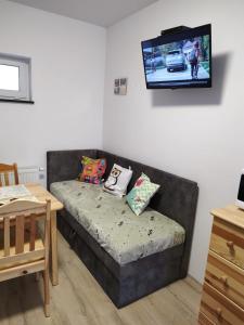 a living room with a couch with a tv on the wall at Apartamenty & Pokoje pod Gruszą in Kudowa-Zdrój