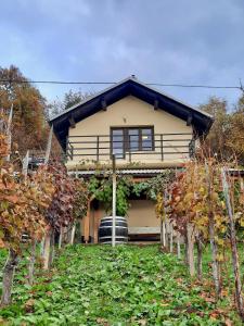 una casa con un montón de árboles delante de ella en Vineyard cottage Kulovec, en Uršna Sela