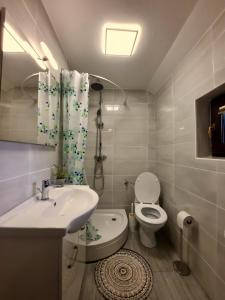 La salle de bains est pourvue d'un lavabo, de toilettes et d'une douche. dans l'établissement Vineyard cottage Kulovec, à Uršna Sela