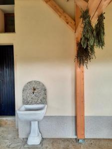 un bagno in un angolo di un edificio di Vineyard cottage Kulovec a Uršna Sela