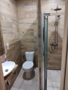 a bathroom with a toilet and a sink and a shower at Apartamenty & Pokoje pod Gruszą in Kudowa-Zdrój