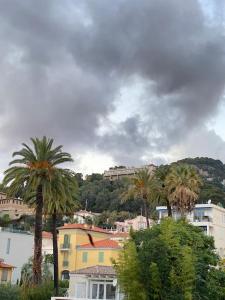 um grupo de palmeiras e edifícios numa cidade em Central, quiet & cosy apartment near Monaco em Beaulieu-sur-Mer