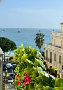 Une bande de plantes vertes sur le côté d'un bâtiment dans l'établissement Palais Miramar Imperial Croisette, à Cannes