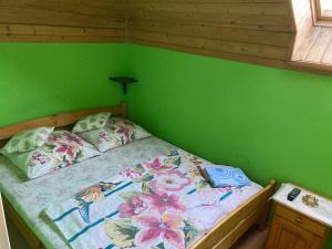 a bedroom with a bed with a green wall at apartament Na Poddaszu in Tresna