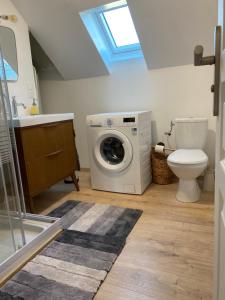 een badkamer met wasmachine en toilet bij L'Augustine Saint-Avre avec spa in Saint Avre la Chambre +29 foto's