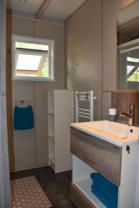 Fotografie z fotogalerie ubytování Chalet prestige camping 4* vue sur la forêt v destinaci Gujan-Mestras