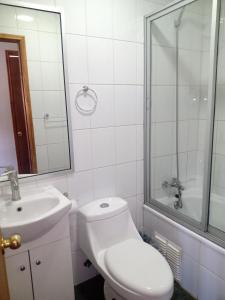 W łazience znajduje się toaleta, umywalka i prysznic. w obiekcie Lomas del hualle w mieście Valdivia