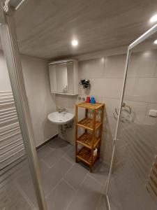 y baño pequeño con lavabo y ducha. en Haus Angermann en Struppen