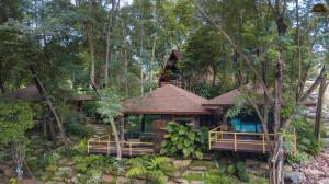 a house in the middle of a forest at Kenaray Farmstay riverside in Kaeng Krachan