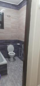 a bathroom with a toilet and a sink at apartment for rent in Luxor