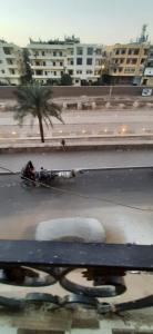 a person riding a horse drawn carriage on a city street at apartment for rent in Luxor