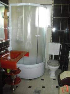 a bathroom with a shower and a toilet and a sink at Villa Jelena Mavrovo in Mavrovo