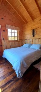a bed in a wooden cabin with a window at PUESTA DE SOL in Cobquecura