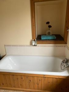 a white bath tub in a bathroom with a plant at The crown inn Longtown in Hereford