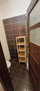 a bathroom with a toilet and a wooden door at Penzion a restaurace U báby Šubrový in Kokořín