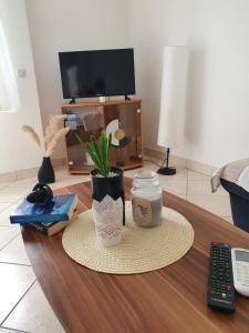 a coffee table with a plant and a remote control at Apartment Selak in Šibenik