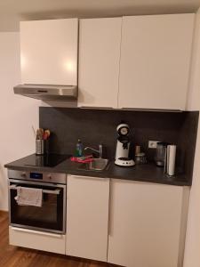 Kuchyň nebo kuchyňský kout v ubytování Aulbach' s Appartments