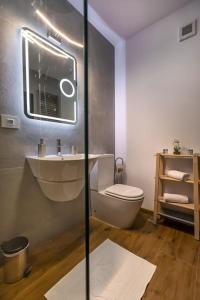 een badkamer met een wastafel, een toilet en een spiegel bij Modern apartment with city-view near Poiana Brasov in Braşov