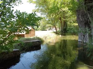 un río con árboles, césped y agua en Cabaña San José en San Rafael