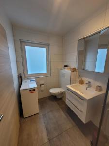 bagno con servizi igienici, lavandino e finestra di Ferienwohnung Hanek ad Annweiler am Trifels