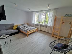 シュチルクにあるGórski Apartament w Szczyrkuのリビングルーム(ソファ、椅子付)