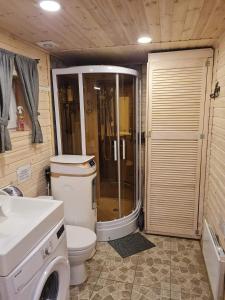 ein Bad mit einer Dusche, einem WC und einem Waschbecken in der Unterkunft Sodybos Narūnas namelis dviems in Jonava