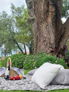 a picnic table with a bottle of wine and fruit on it at Log in @ 118 Self Catering Unit in Meyerton