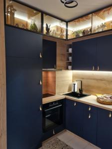 eine Küche mit blauen Schränken und einem schwarzen Backofen in der Unterkunft Mountain Peak Apartment in Borowez