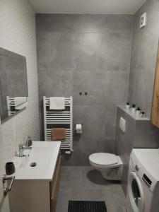 Fotografie z fotogalerie ubytování Studio apartman Implex v destinaci Ðakovo