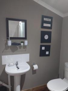 een badkamer met een wastafel, een toilet en een spiegel bij Log in @ 118 Self Catering Unit in Meyerton