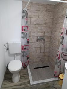 uma casa de banho com um WC e um chuveiro em Enduro Transalpina em Obarsia Lotrului