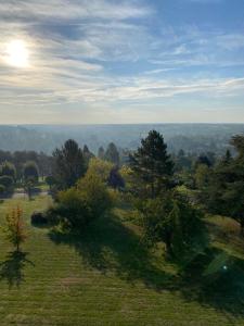 - une vue sur un champ planté d'arbres sur une colline dans l'établissement Studio équipée et balcon avec vue dégagée, à Montrichard