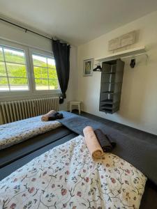 a bedroom with two beds and two windows at Ferienwohnung & Apartment Am Steinbrunnen in Brauneberg