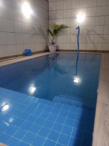 德奥多鲁元帅镇Casa da Idinha的游泳池铺有蓝色瓷砖地板。