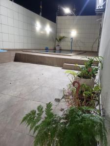 Casa da Idinha外面的花园