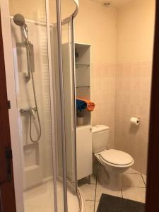 a small bathroom with a toilet and a shower at Oncle xa 