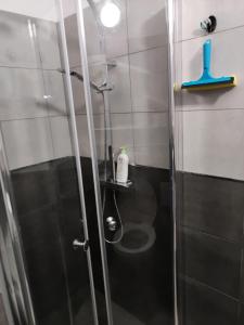 W łazience znajduje się prysznic ze szklanymi drzwiami. w obiekcie Prywatny pokój w Ośrodku Panorama Okuninka we Włodawie