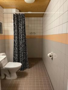 ユリビエスカにあるIso huoneisto 4のバスルーム(トイレ、シャワーカーテン付)