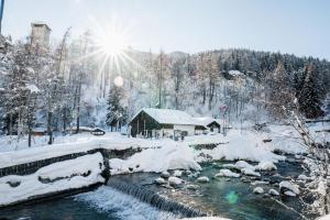 a cabin in the snow next to a river at Yes we camp! Cevedale in Ossana