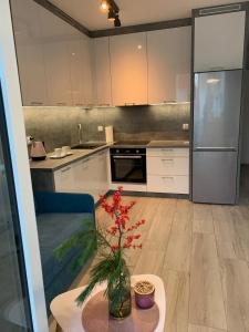 Kuchyňa alebo kuchynka v ubytovaní Apartament - Brzeska For You
