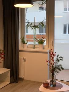 Fotografia z galérie ubytovania Apartament - Brzeska For You v destinácii Lubin