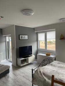 TV a/nebo společenská místnost v ubytování Apartmán Klínovec - Loučná pod Klínovcem 120-6