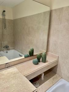a bathroom with a tub and a mirror and cactus at AMR Agave Real in Vera