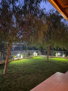 a park at night with two trees and lights at Timos Villas in Agalás