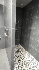 een douche met een glazen deur in de badkamer bij Impression du Sud Gîte 2 in Saint-Rémy-de-Provence