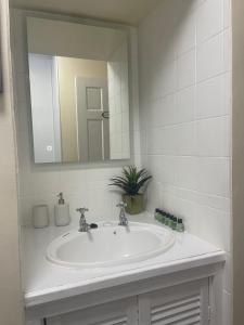uma casa de banho com um lavatório e um espelho em Hector's Bothy flat em Kyle of Lochalsh