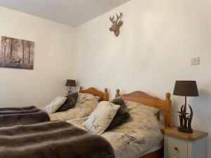 twee bedden naast elkaar in een kamer bij Hector's Bothy flat in Kyle of Lochalsh